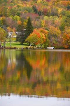 Vermont fall foliage Stock Photos