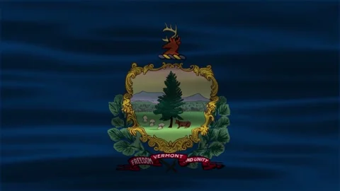 Vermont flag Animation Stock Footage 312485389