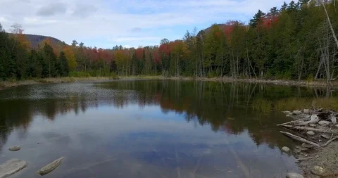Vermont Pond Fall Foliage Stock Footage 117620140