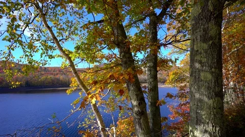 Vermont River Stock Footage 102798959