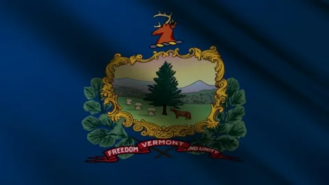 Vermont State Flag Stock Footage 276105689