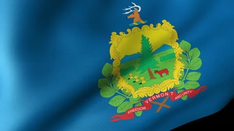 Vermont State Flag Waving Видео 11972285