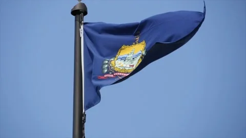 Vermont State Flag Waving in Wind Stock Footage 131064879