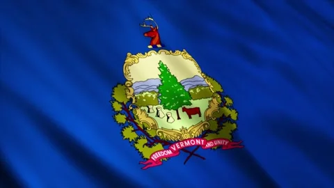 Vermont State Flag waving in the wind Stock Footage 236435982