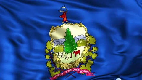 Vermont State Waving Flag Background Stock Footage 204139622