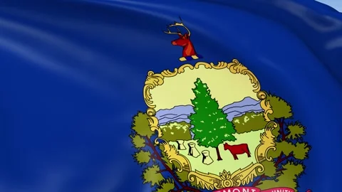 Vermont State Waving Flag Background Loop Stock Footage 317847310