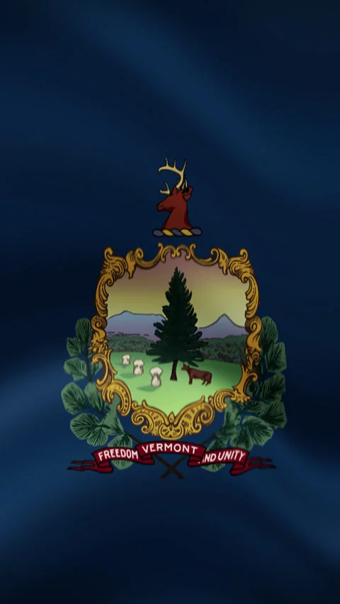 Vermont State Waving Flag in Vertical Orientation – Realistic Loop Animation Stock Footage 294949247