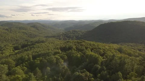 Vermont Sunset Forest 2 Видео 169608018