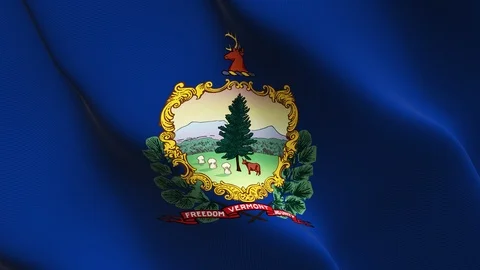 Vermont US State flag loop waving on wind. Stock Footage 119273937