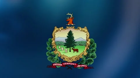 Vermont Waving flag Stock Footage 303032347