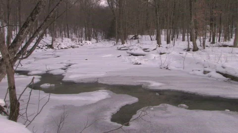 Vermont Winter River: Sunlight Through the Trees  Video stock 647735