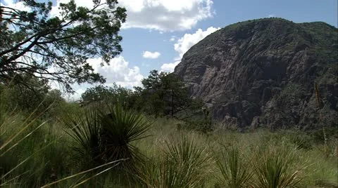 Vernon bailey Stock Footage 22652063