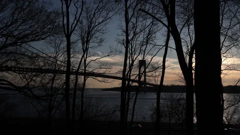 Verrazano Narrows Bridge Through the Winter Trees. Bay Ridge, Brooklyn. Stock Footage 238650936