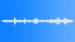 Verreaux Sifaka CU Soft Sound Effect