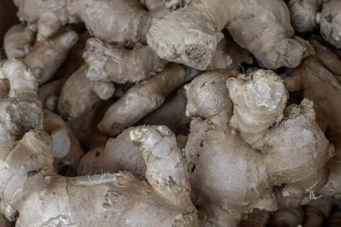 Versatile Ginger Root Stock Photos