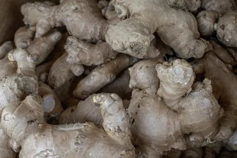 Versatile Ginger Root Stock Photos