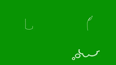 Versatile pack of white hand drawn animations on bright green screen Видео 346825240