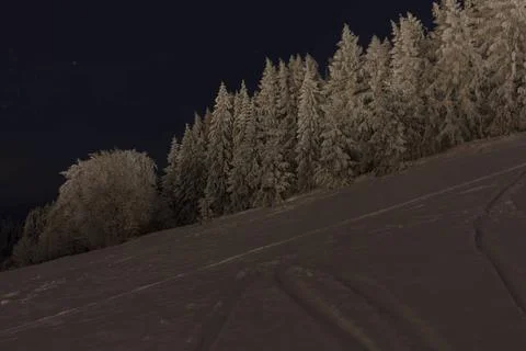 Verschneiter Winterwald am Skihang in Eibenstock bei Nacht, Erzgebirge, Sa... Stock Photos