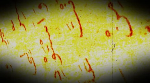 Verse of the quran Stock Footage 908909