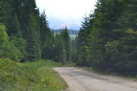 Вершина Stock Photos