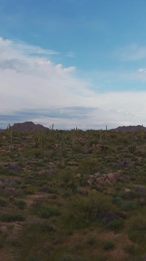 Vert Drone Fly-Over Of Desert Landscape In North Scottsdale AZ Stock Footage 343878717