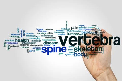 Vertebra word cloud Stock Illustration