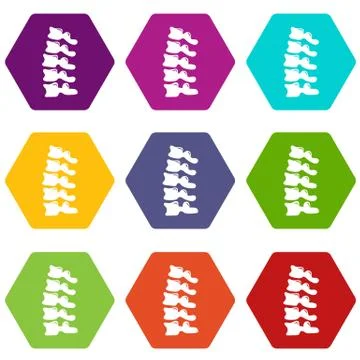 Vertebrae icons set 9 vector Stock Illustration