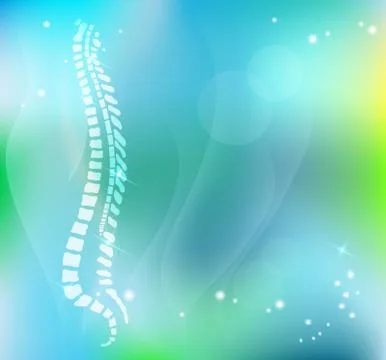 Vertebral column on a beautiful light blue background Stock Illustration