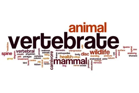 Vertebrate word cloud Stock Illustration