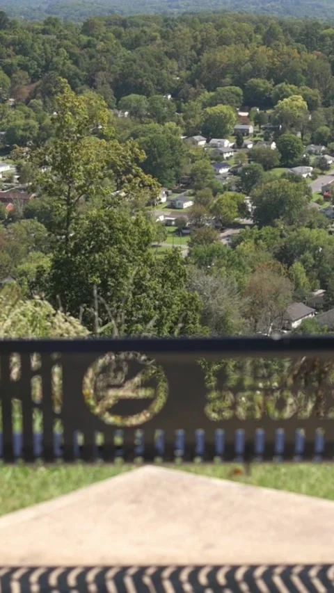 Verti al screen overlook view of suburban treetop neighborhood, sunlit hillside Vídeo Stock 323099855