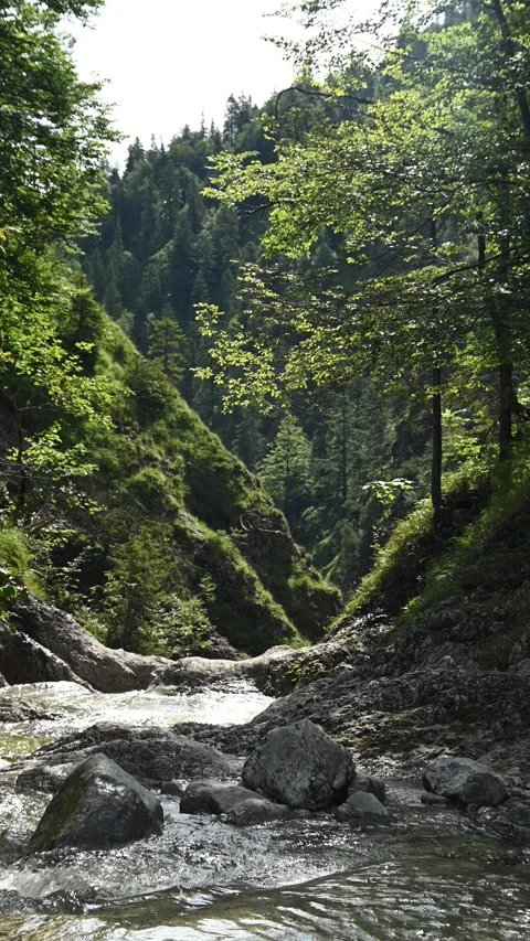 Vertial shot of a mountain stream cascading into a gorge Stock Footage 260888552