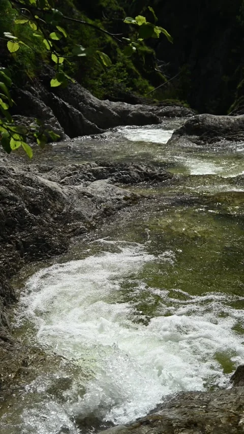 Vertial shot of a mountain stream cascading in the sunlight Video stock 260888813