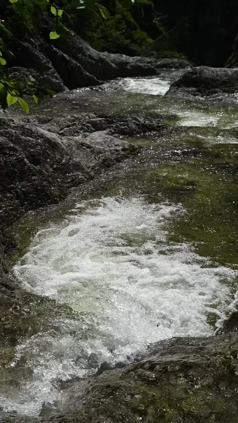 Vertial shot of a mountain stream cascading in summer slow motion Stock Footage 260889690