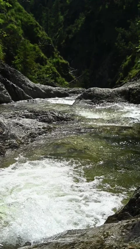 Vertial shot of a mountain stream cascading in summer slow motion Stock-Footage 260889931