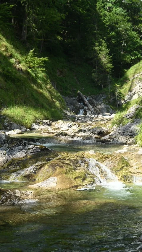 Vertial shot of a mountain stream in a forest 스톡 동영상 260881365