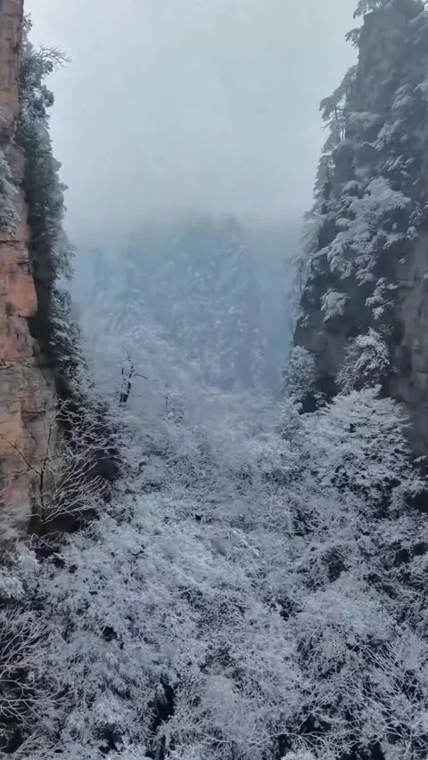 Vertical 1080p Drone Flight Weaving through Zhangjiajie Mist-Shrouded Peaks 動画素材 332047934