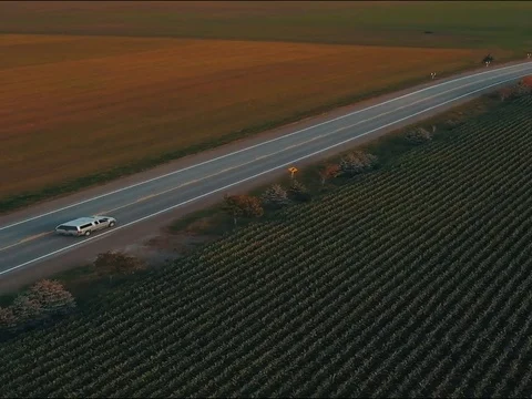 Vertical 1080p fields and SUZ Stock Footage 79996092