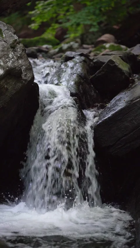 Vertical 1080p Small Waterfall in a Park Видео 264773887