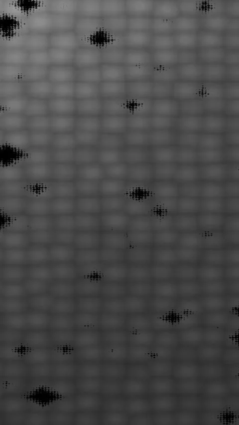 Vertical 2K animation with scattered shapes in gray tones Stock Footage 340528233