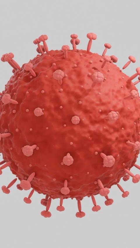 Vertical 3D Animation of Hantavirus Sphere Structure for Medical and Stock Footage 335432514