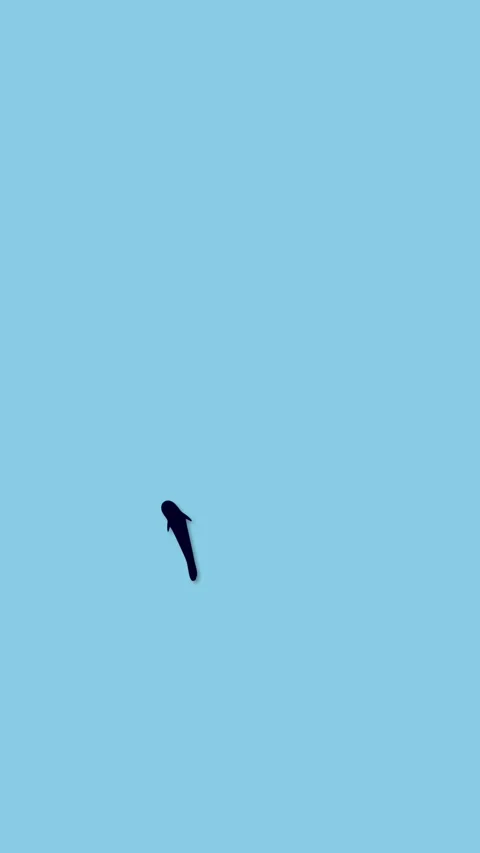 Vertical 3D Fish Silhouette Swimming 4K Seamless Loop Stock Footage 339374064