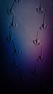 Vertical 4K background featuring natural seagull tracks on grainy sand, wit.. Illustrazione stock
