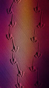 Vertical 4K background featuring natural seagull tracks on grainy sand, wit.. Illustrazione stock