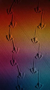 Vertical 4K background showcasing seagull tracks on grainy sand with a natu.. 스톡 일러스트