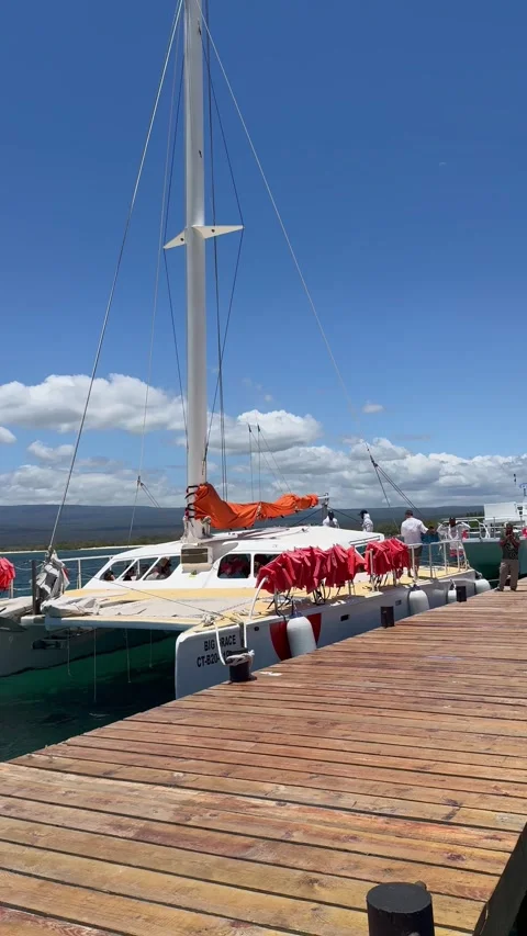 Vertical 4K Close Up Of Excursion Boat Departing From Port Cabo Rojo Stock Footage 335479580