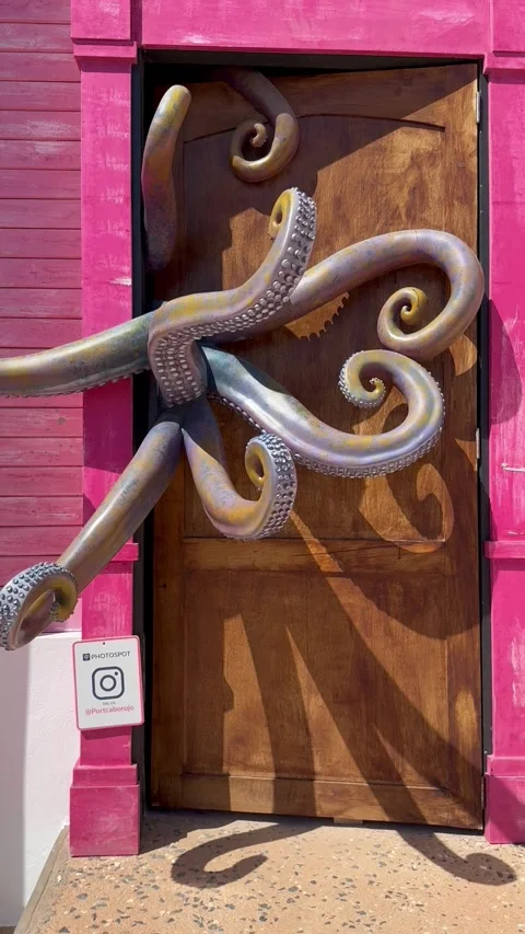 Vertical 4K Close Up Of Octopus Tentacle  On Wooden Door Vídeos de archivo 335479398