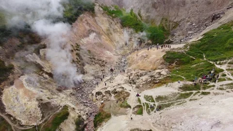 Vertical 4K drone ascent over a steaming geyser in Kamchatka on a summer day Stock Footage 312119602