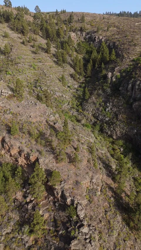 Vertical 4K Drone Flight Through Canyon, Tenerife Vidéo 314607471
