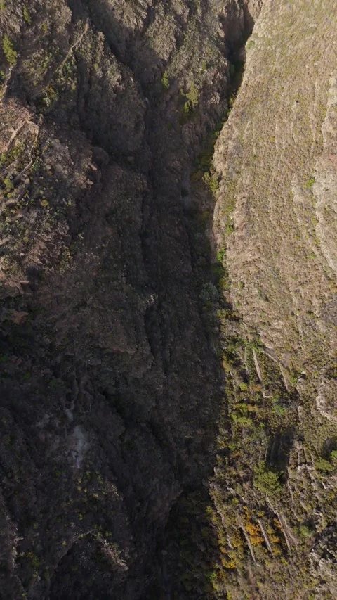 Vertical 4K Drone Flight Through Canyon, Tenerife Stock Footage 314607495