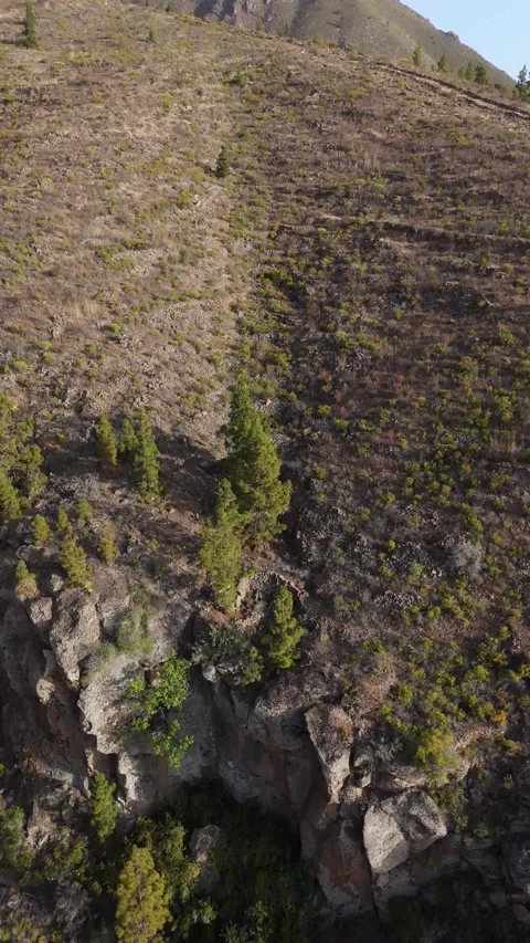 Vertical 4K Drone Flight Through Canyon, Tenerife Stock Footage 314607497